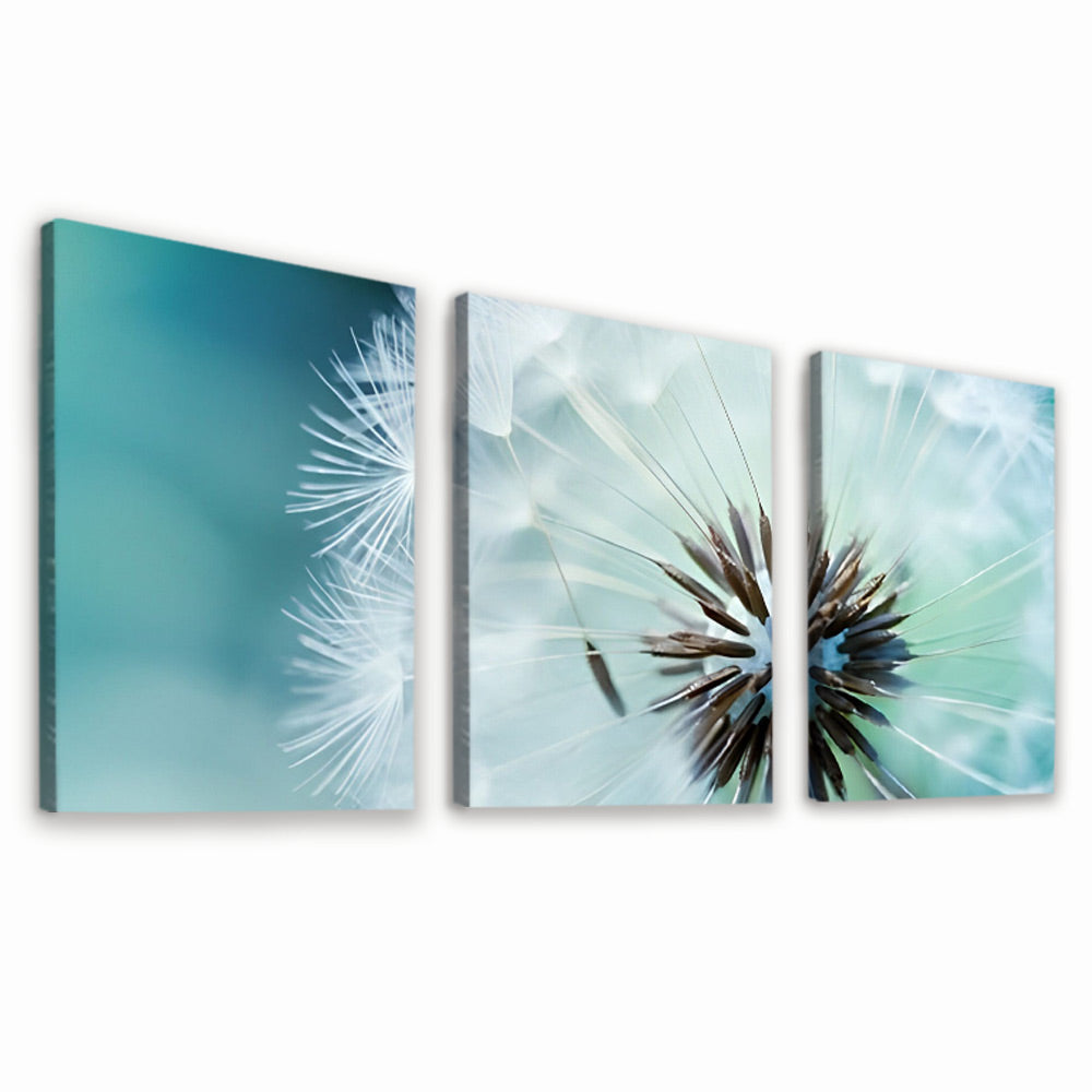 Dandelion 3 Pack Paint By Numbers