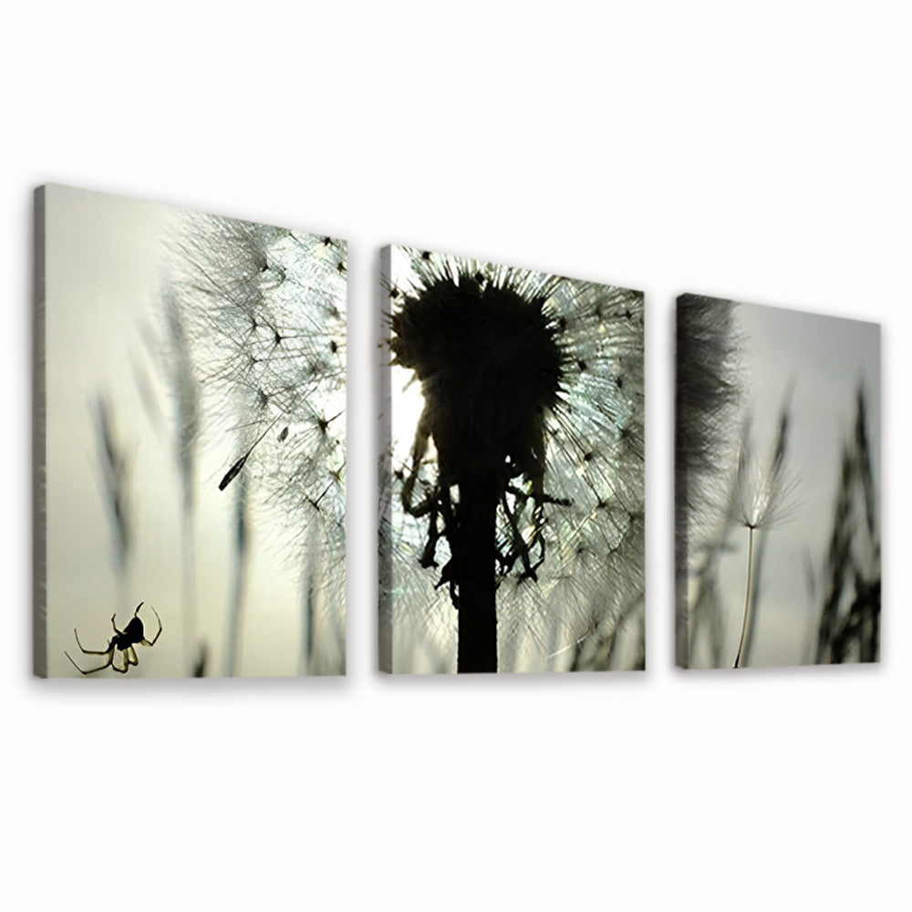 Dandelion 3 Pack Paint By Numbers