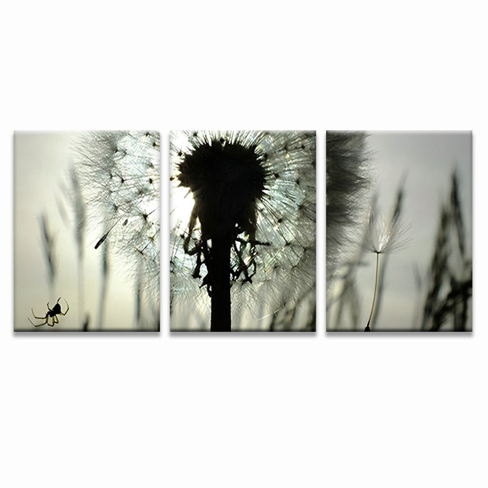 Dandelion 3 Pack Paint By Numbers