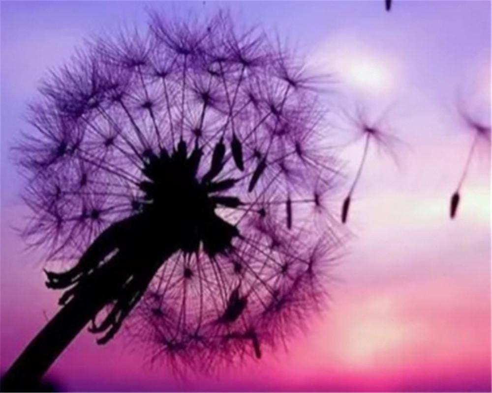 Dandelion and Purple Sky Paint by Numbers