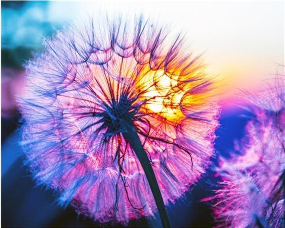 Dandelion and Sunset Paint by Numbers