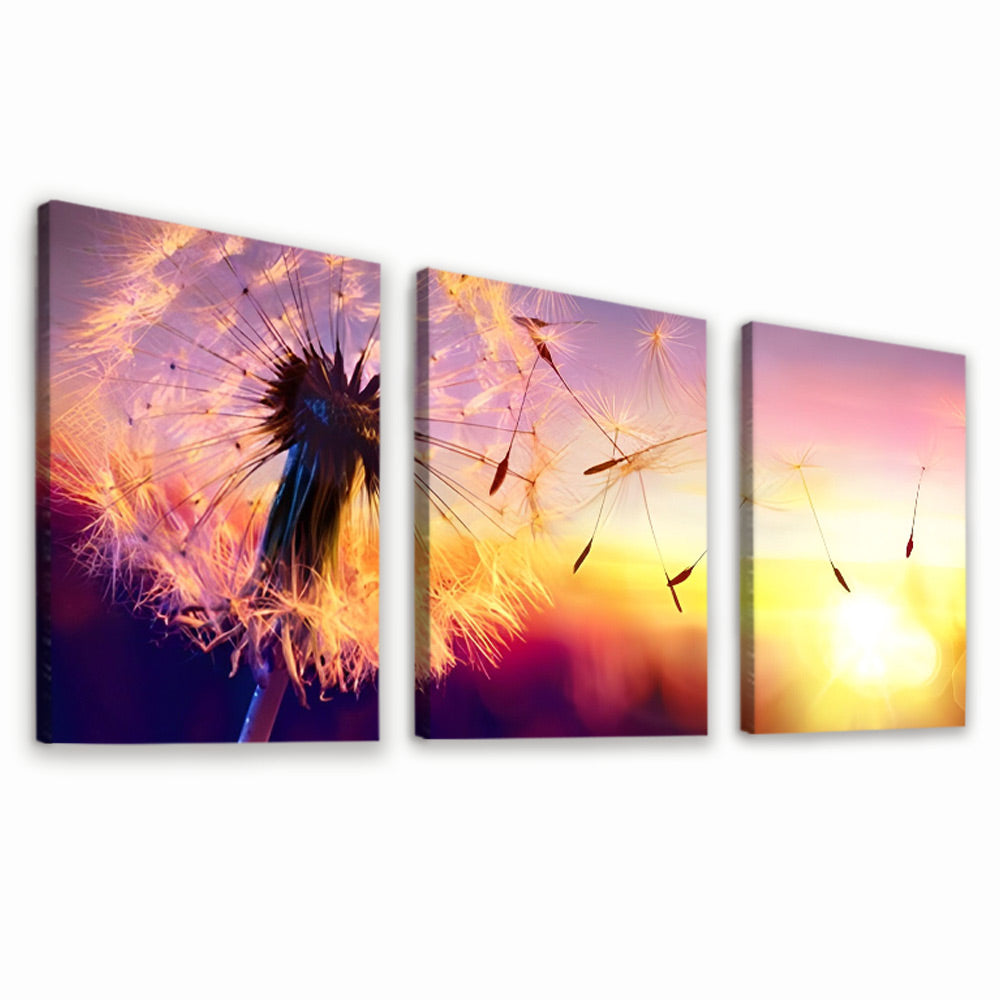 Dandelion at Sunset 3 Pack Paint By Numbers