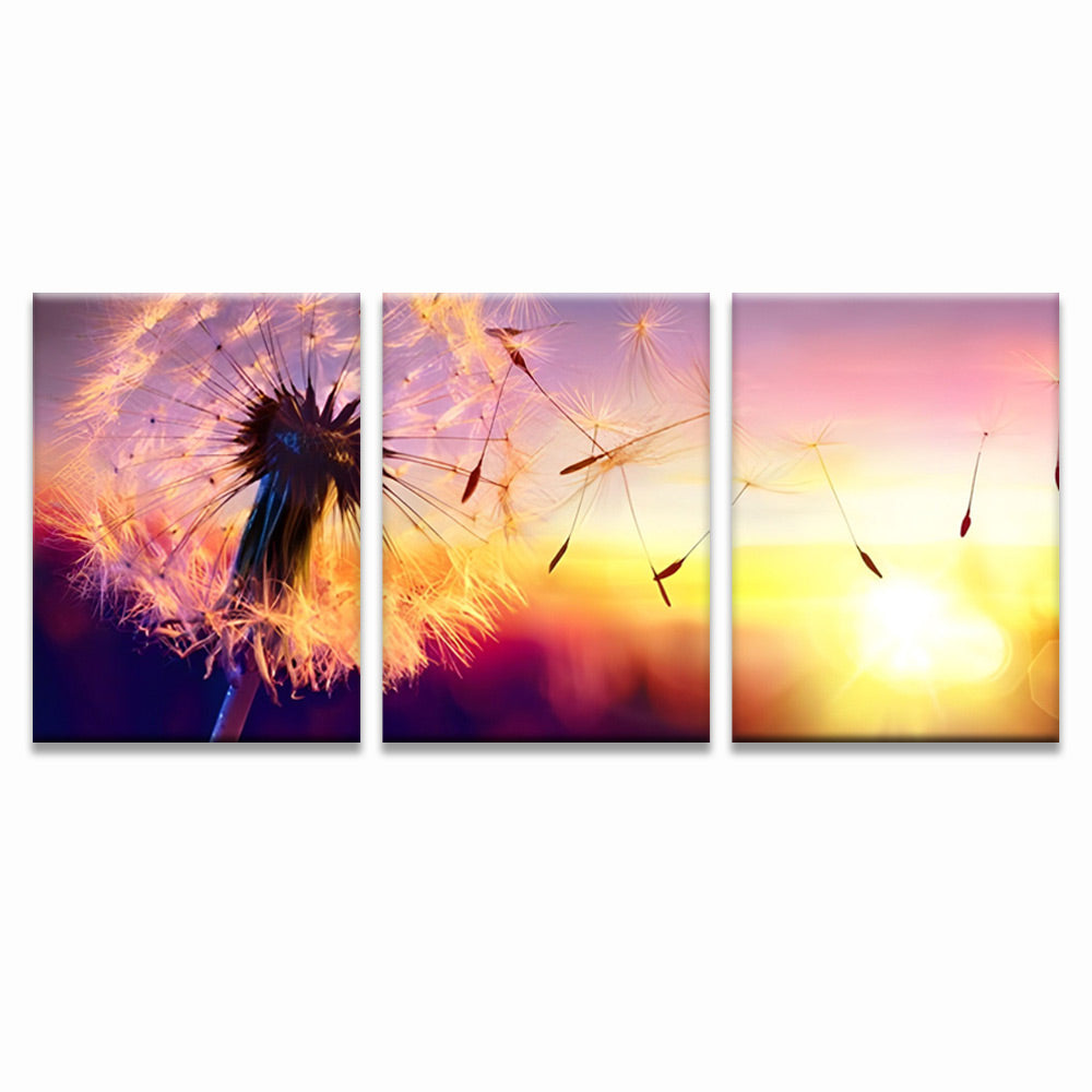 Dandelion at Sunset 3 Pack Paint By Numbers