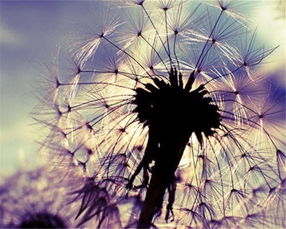 Dandelion Paint by Numbers