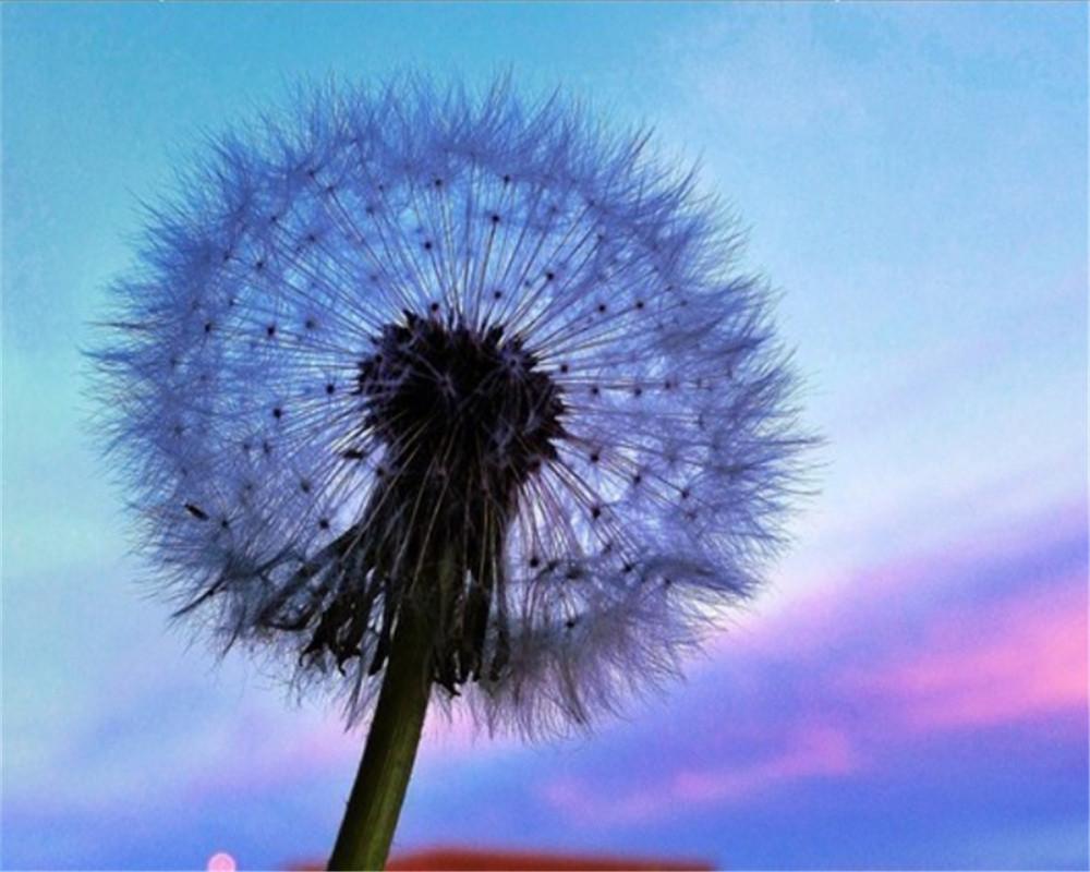 Dandelion Paint by Numbers