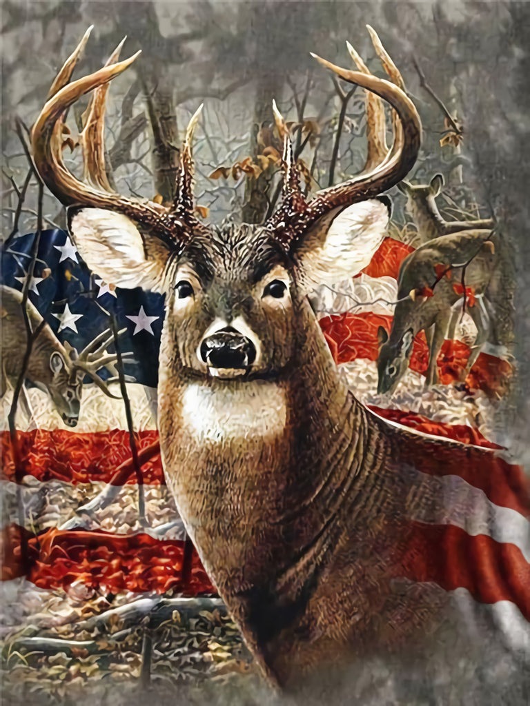 Deer and American Flag Paint by Numbers