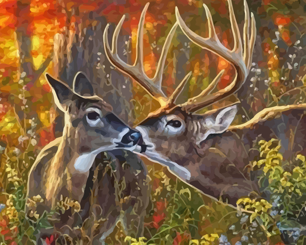 Deer Couple Paint by Numbers