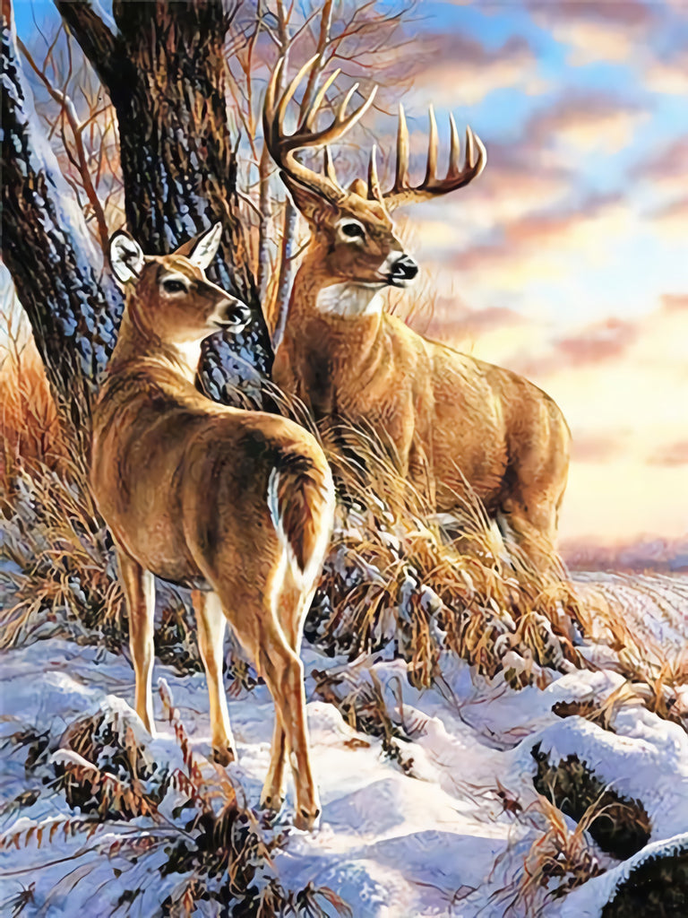 Deers and Snow Paint by Numbers