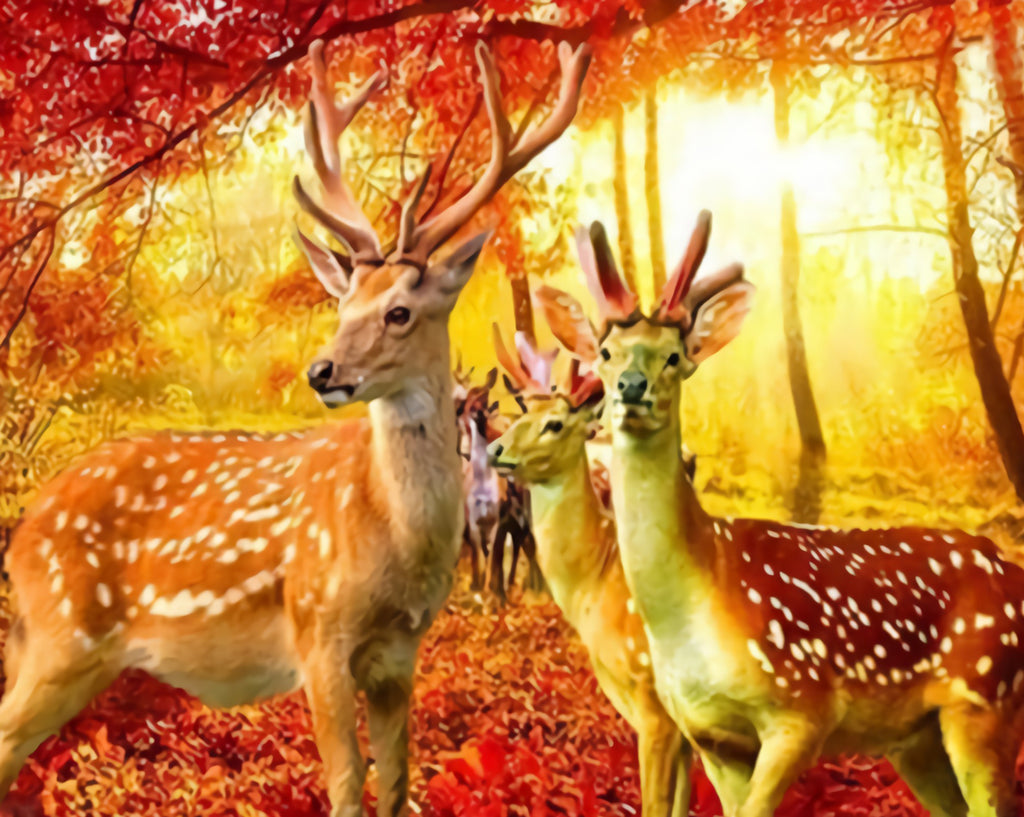 Deers in Autumn Forest Paint by Numbers