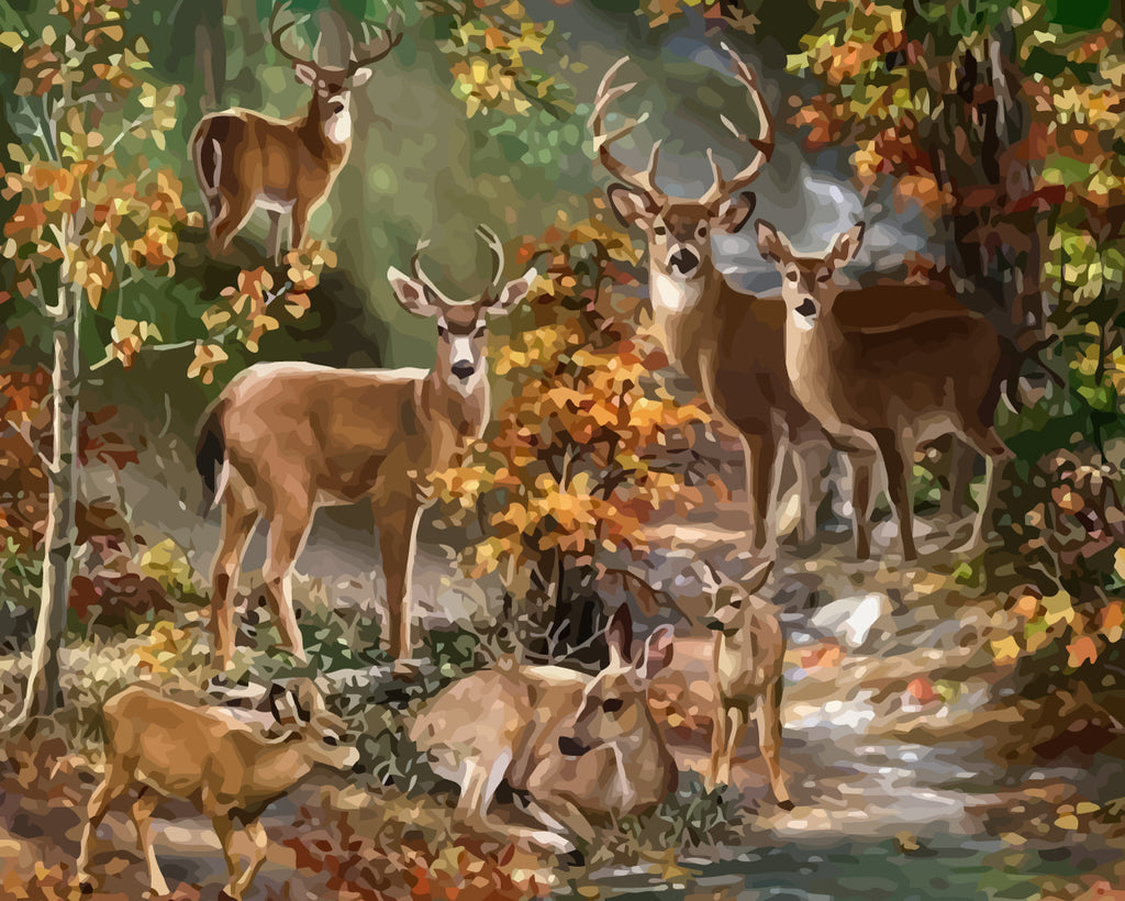 Deers in Forest Paint by Numbers