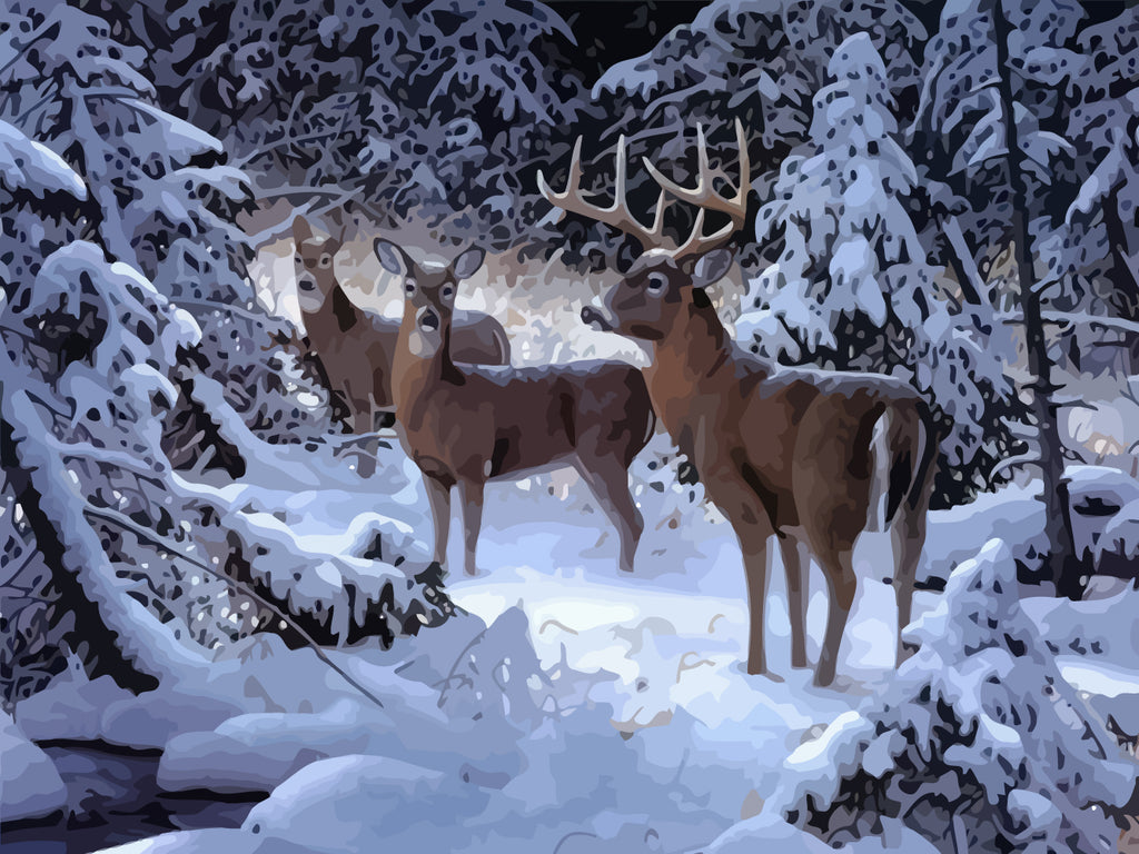 Deers in Snow Paint by Numbers