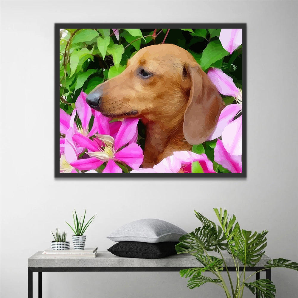 Dog among Flowers Paint by Numbers