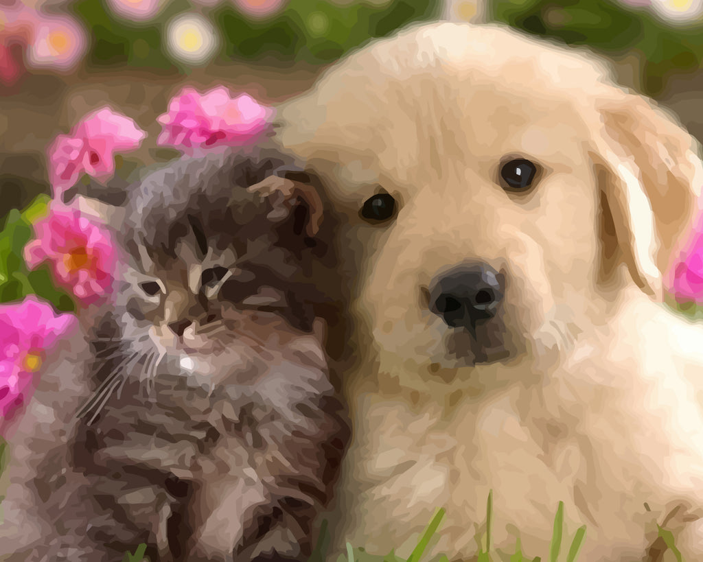 Dog and Cat Paint by Numbers