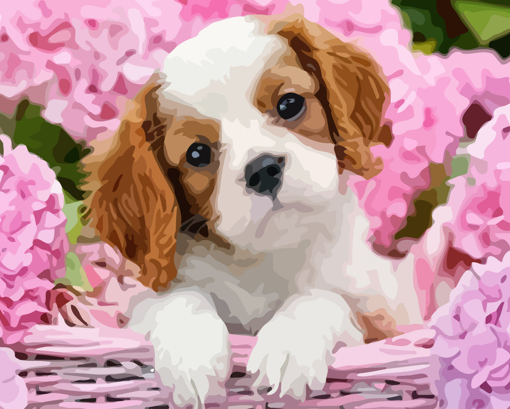 Dog and Pink Hydrangeas Paint by Numbers