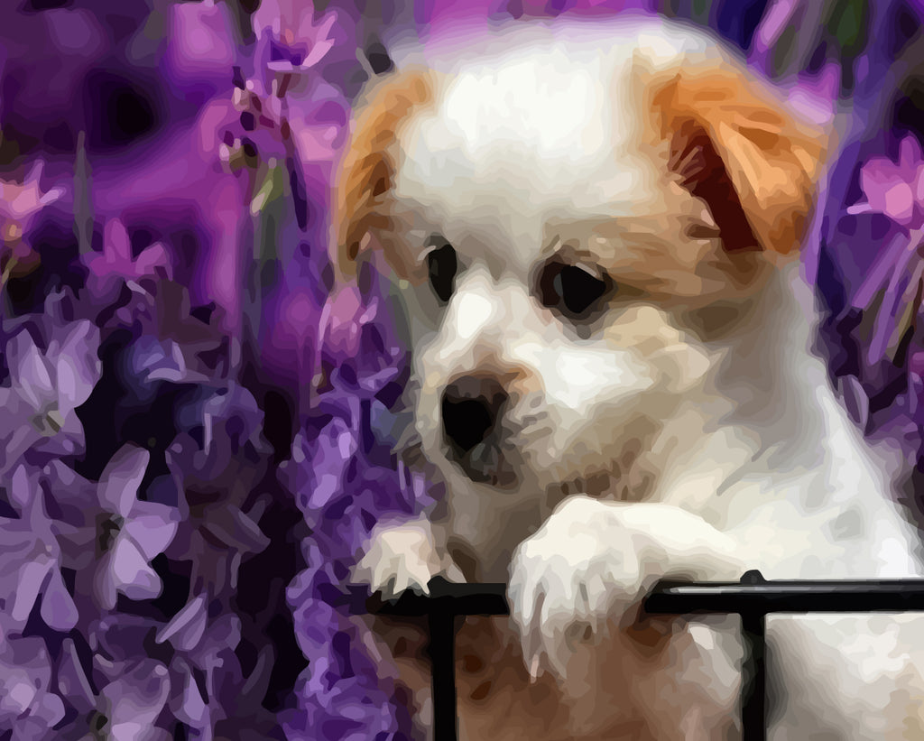 Dog and Purple Flowers Paint by Numbers