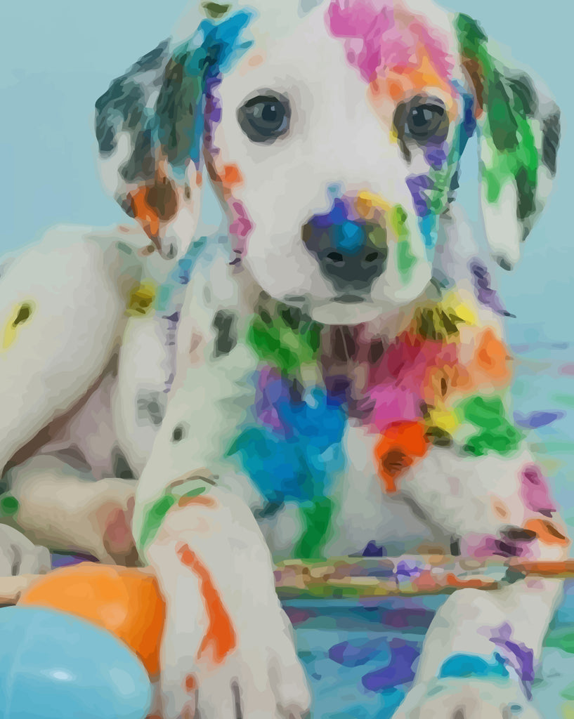 Dog Covered in Paint Paint by Numbers