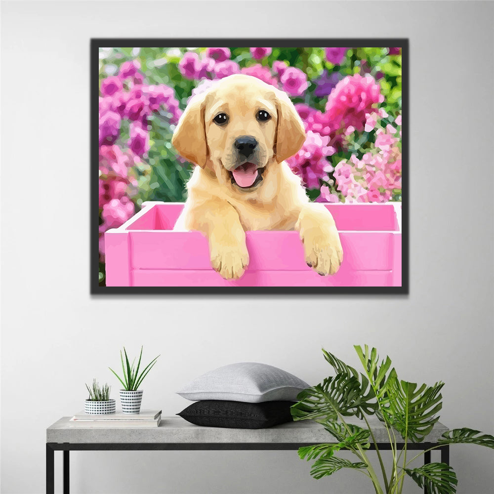 Dog in A Pink Basket Paint by Numbers