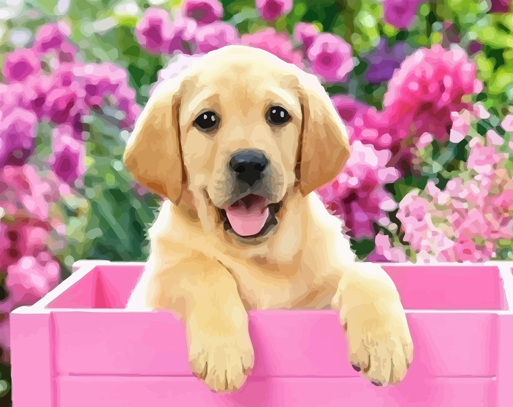 Dog in A Pink Basket Paint by Numbers