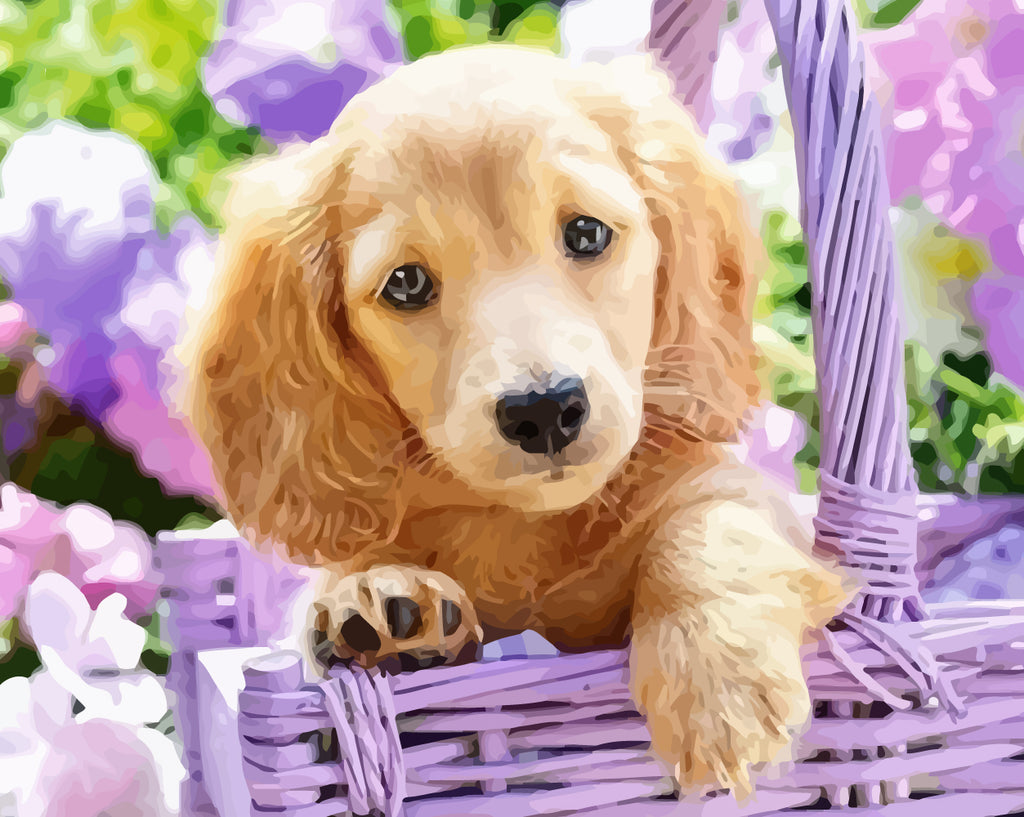 Dog in A Purple Basket Paint by Numbers