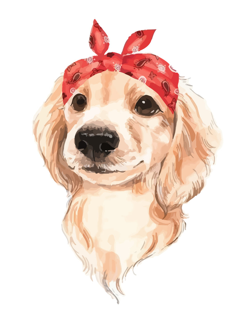 Dog Wearing Red Turban Paint by Numbers