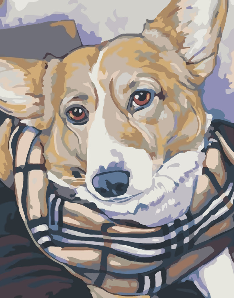 Dog Wearing Scarf Paint by Numbers