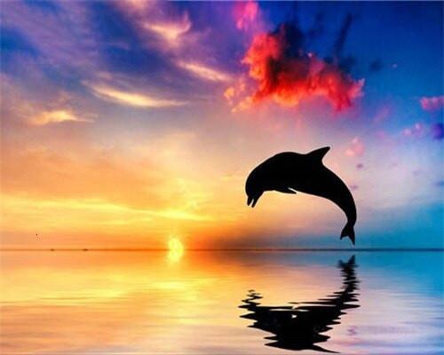 Dolphin at Sunset Paint by Numbers