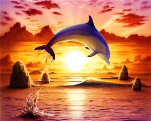 Dolphin Jumping out of the Sea Paint by Numbers