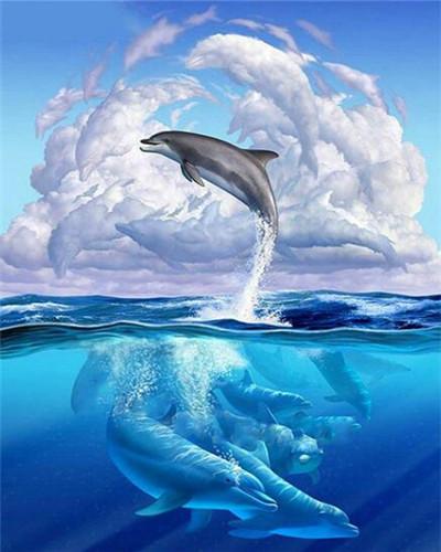 Dolphin Sea Clouds Paint by Numbers