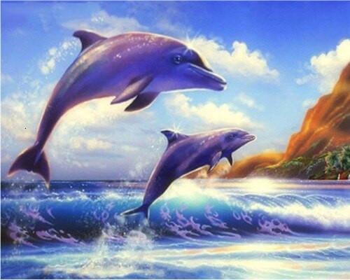 Dolphins Paint by Numbers