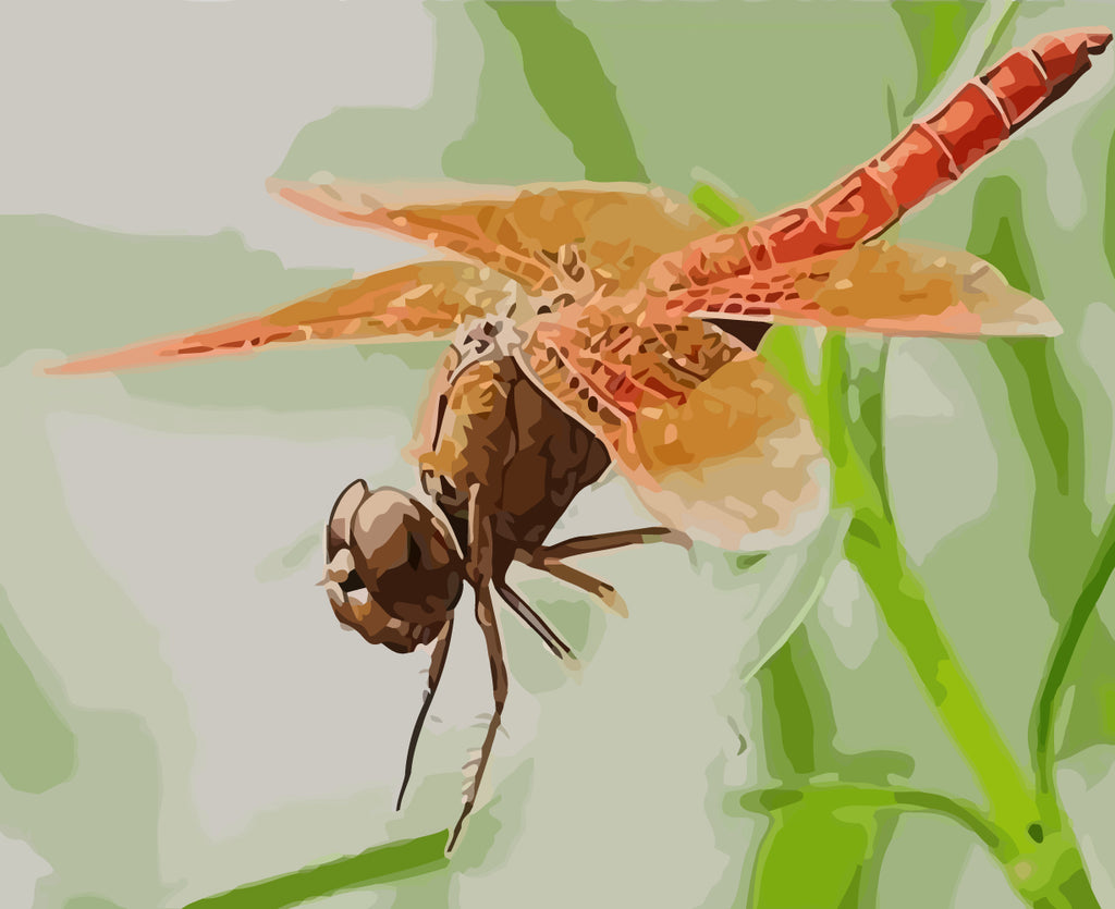 Dragonfly and Green Leaves Paint by Numbers