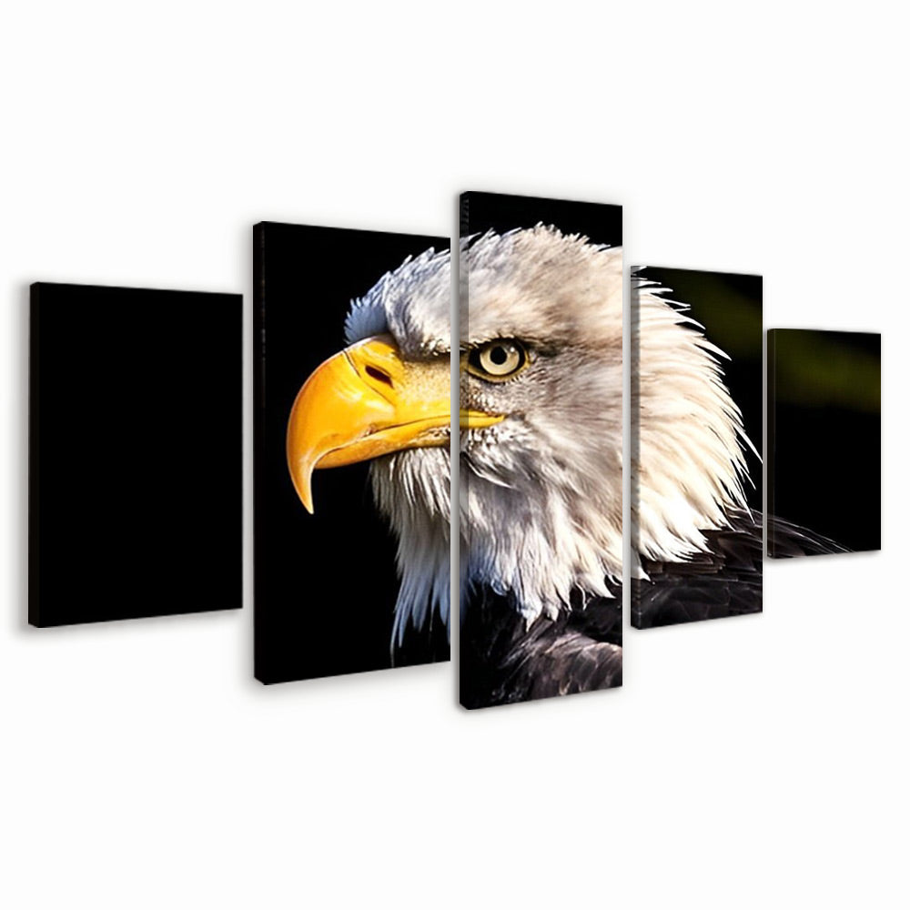 Eagle Head 5 Pack Paint By Numbers