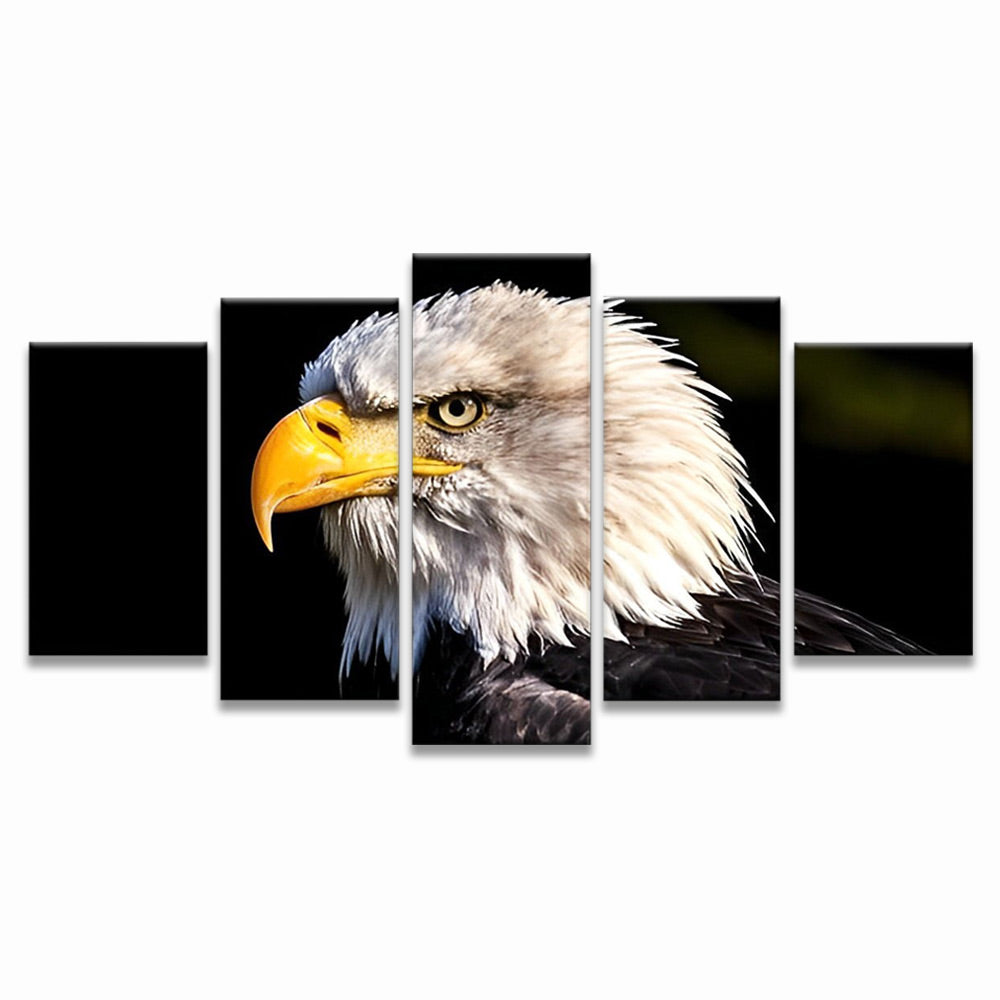 Eagle Head 5 Pack Paint By Numbers