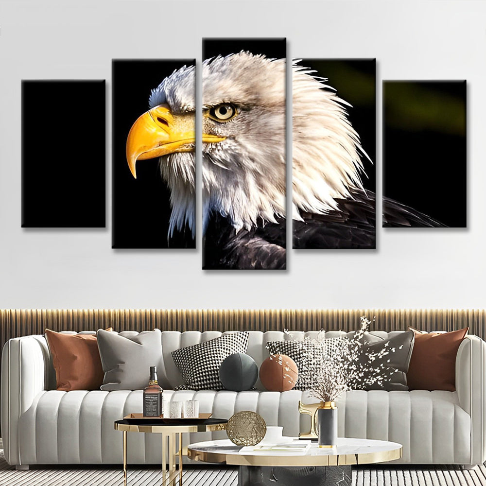 Eagle Head 5 Pack Paint By Numbers