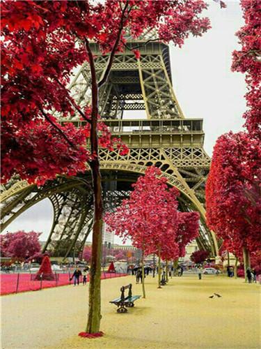 Eiffel Tower and Maple Trees Paint by Numbers