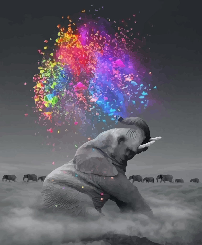 Elephant and Watercolor Paint by Numbers