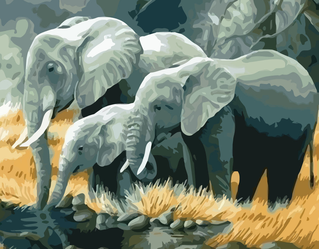 Elephant Family Paint by Numbers