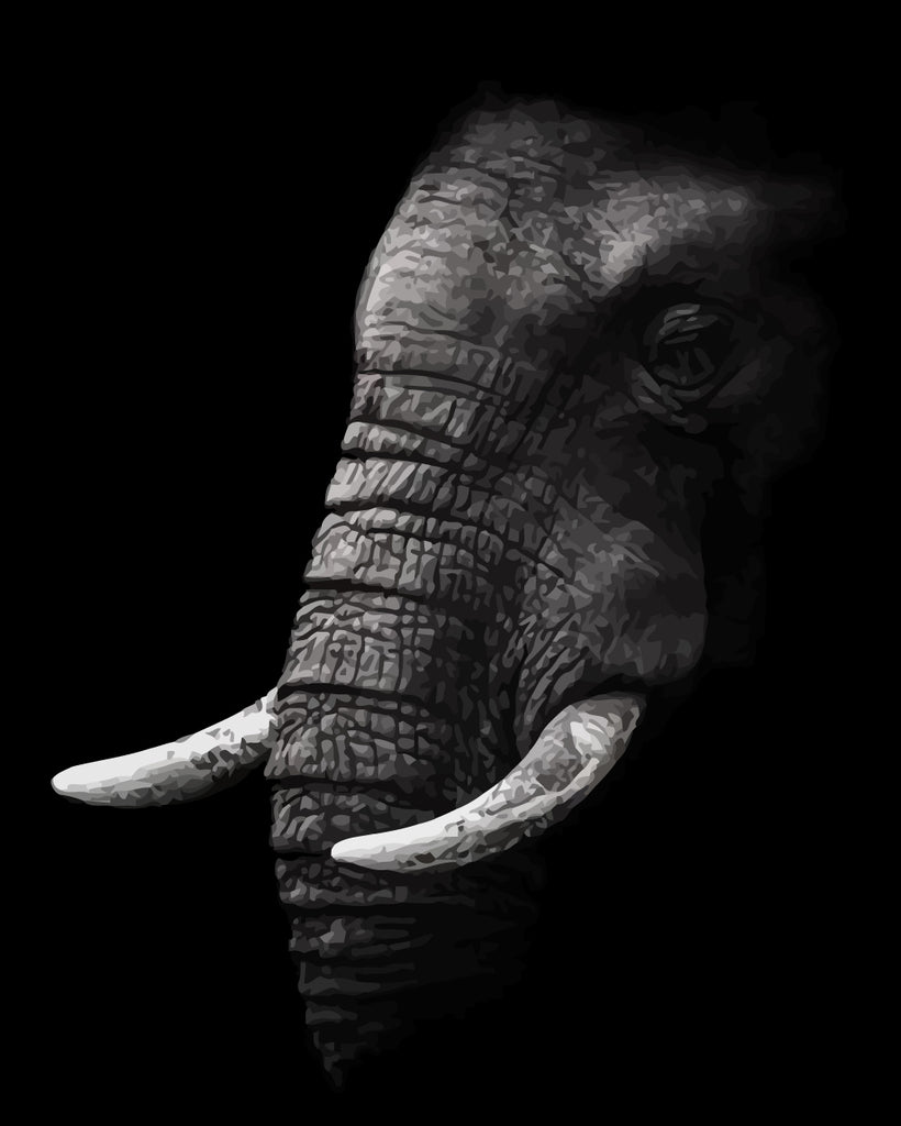 Elephant in the Dark Paint by Numbers