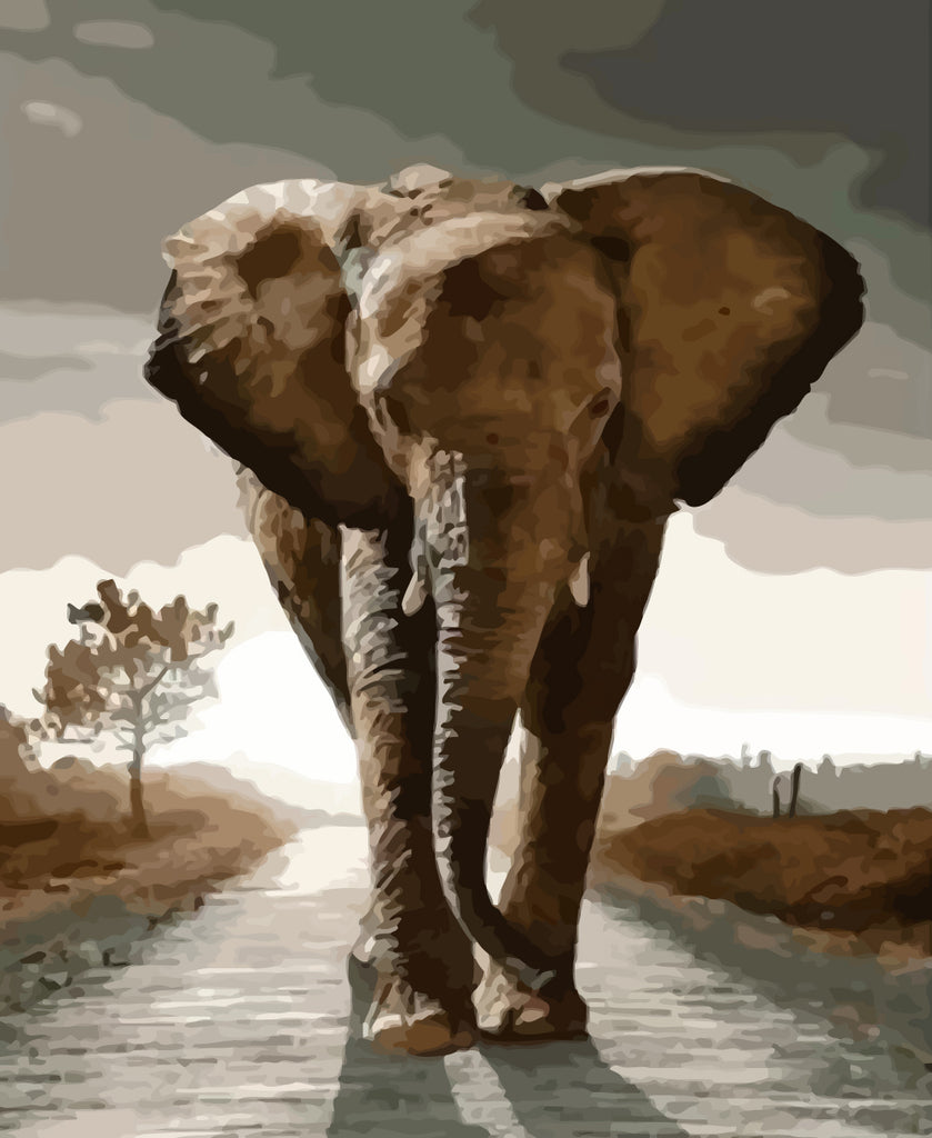 Elephant on the Road Paint by Numbers