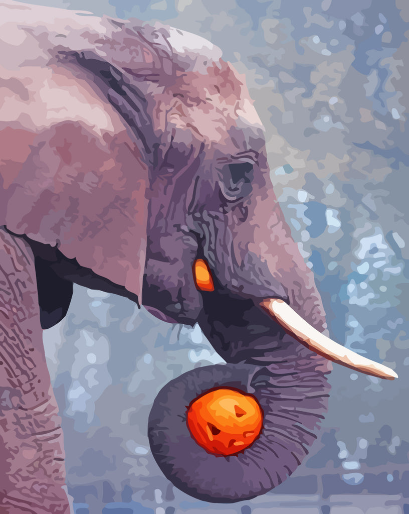 Elephant with Pumpkin Lantern Paint by Numbers