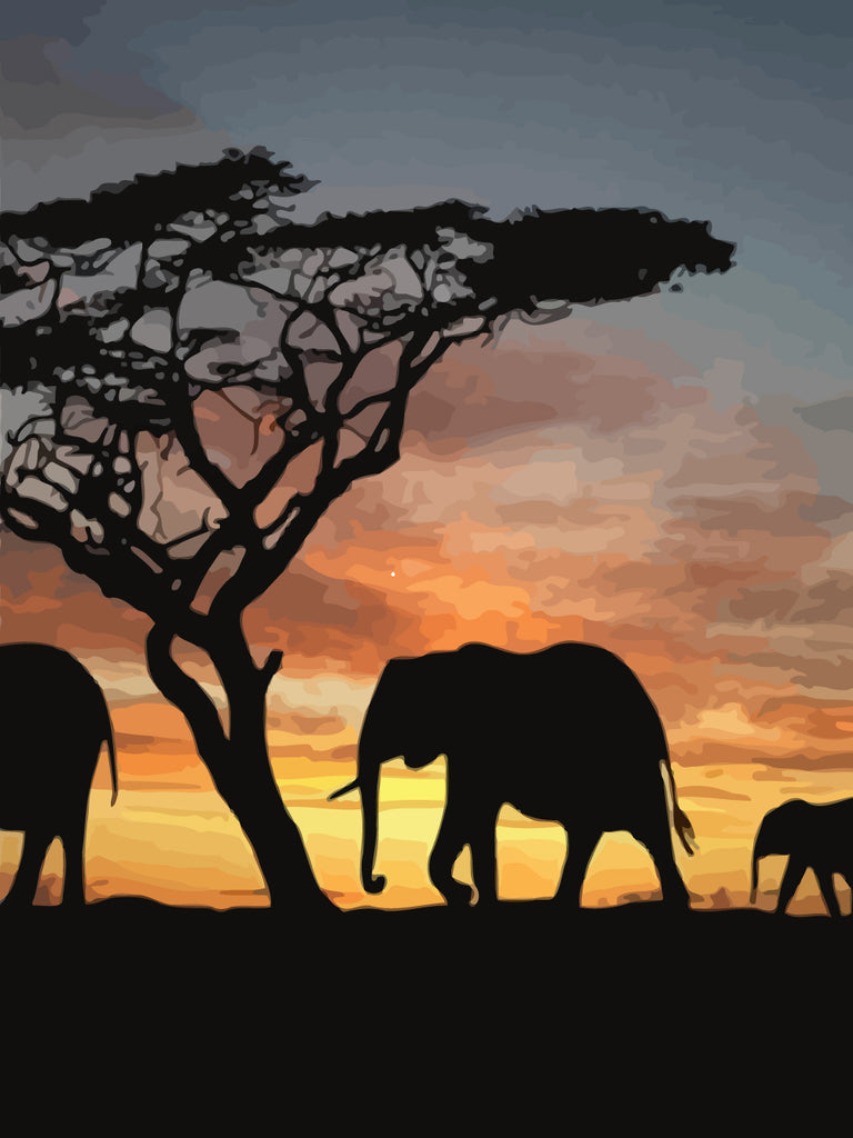 Elephants and Sunset Paint by Numbers