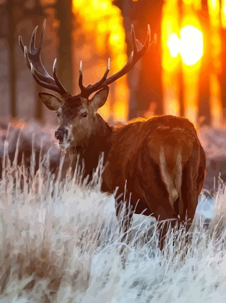 Elk and Sunset Paint by Numbers