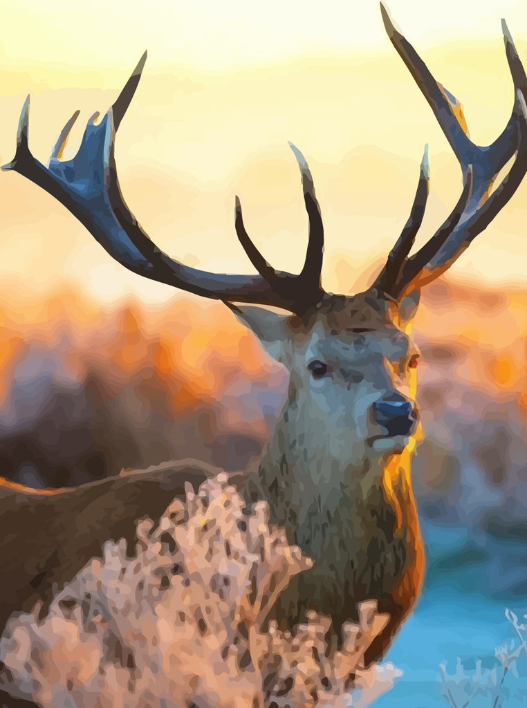 Elk at Sunset Paint by Numbers