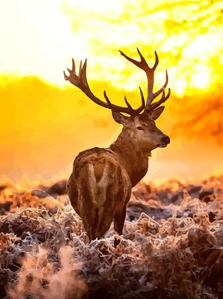 Elk at Sunset Paint by Numbers