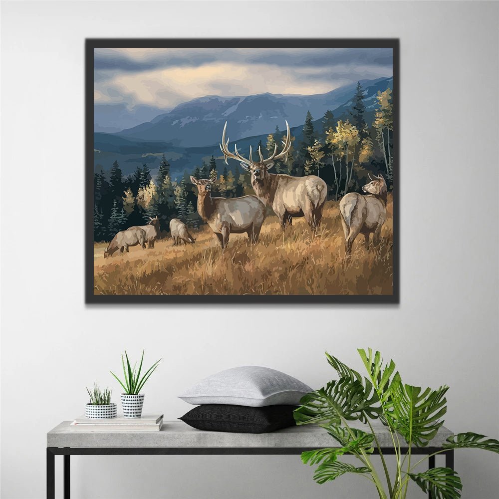 Elks in the Forest Paint by Numbers