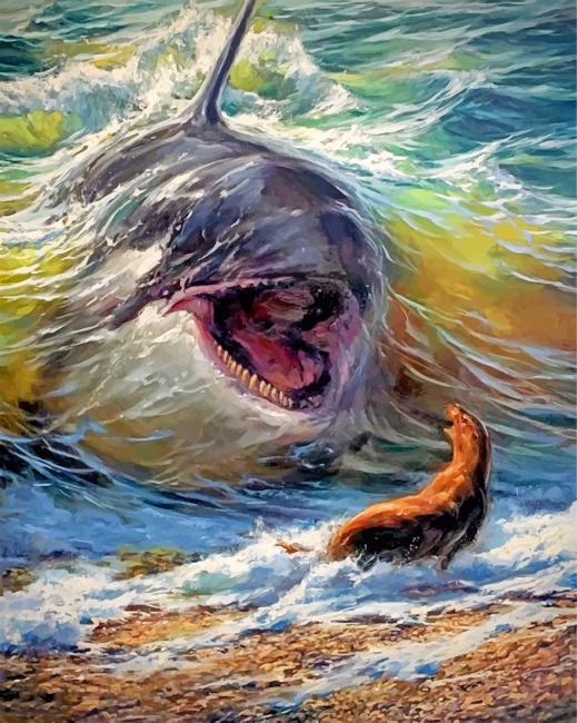 Ferocious Shark Paint by Numbers