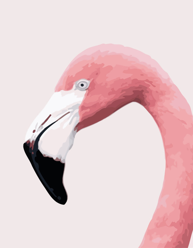 Flamingo Head Paint by Numbers