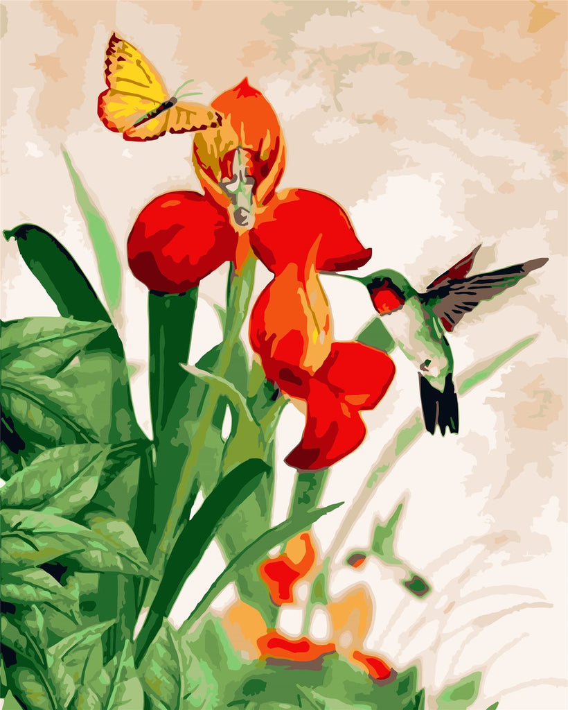 Flower, Butterfly and Hummingbird Paint by Numbers