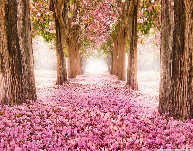 Flowery Trees and Petals Paint by Numbers