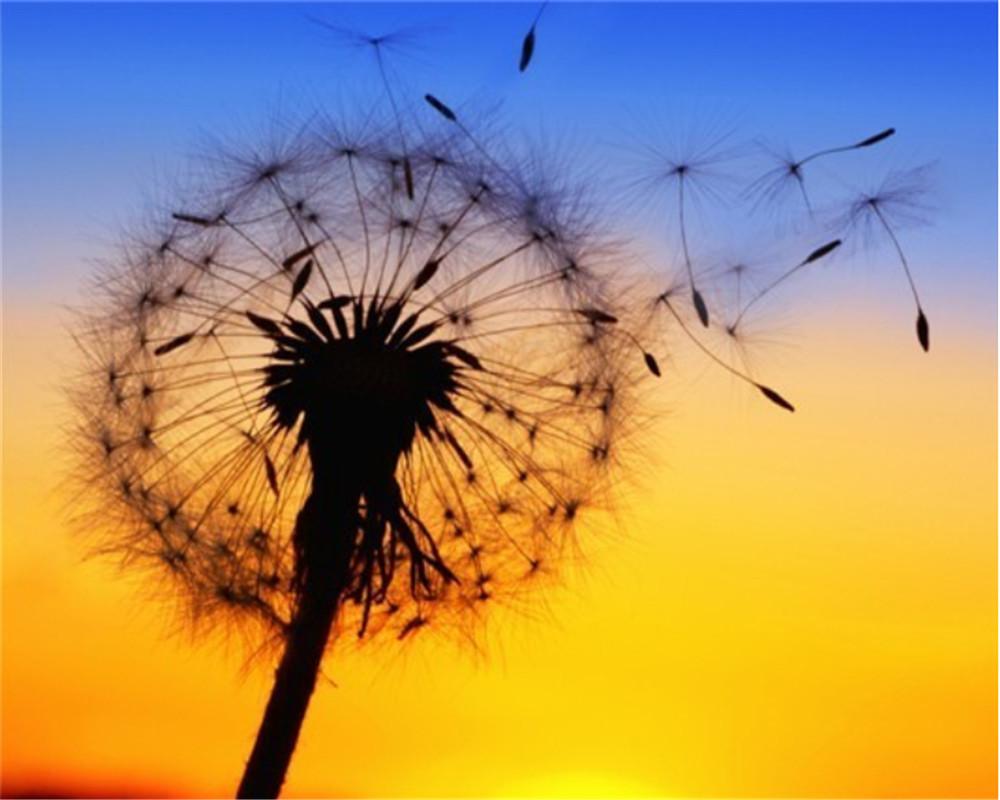 Flying Dandelion Paint by Numbers