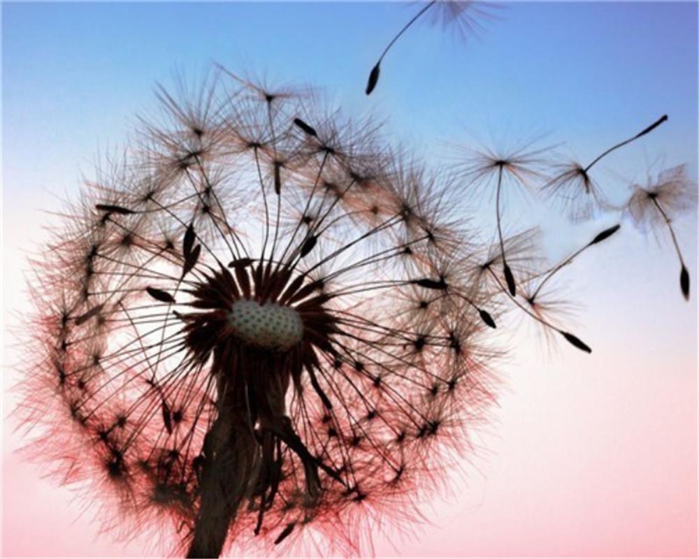 Flying Dandelion Paint by Numbers